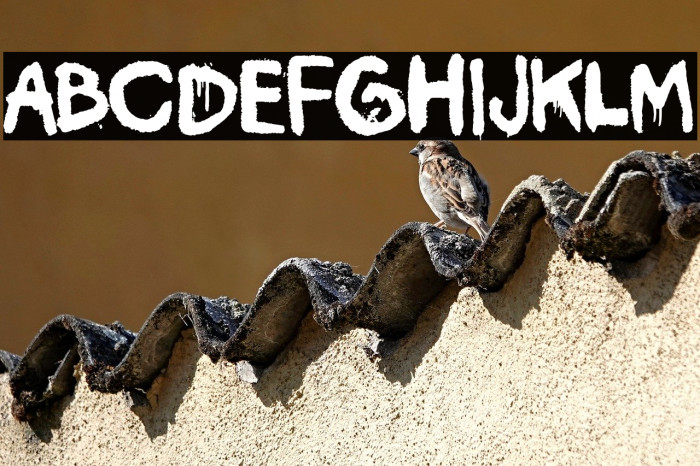 Madrid Vandals Example 3