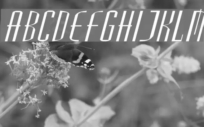 Madrid2ExpItal Font examples