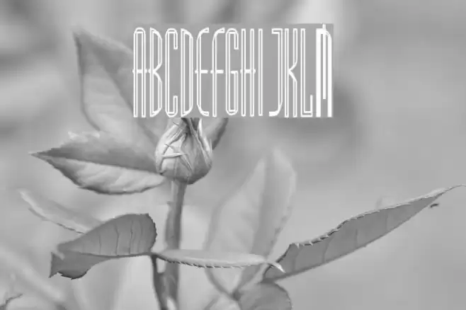 MadridHC Font examples