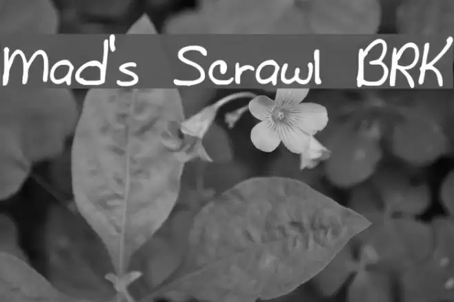 Mad's Scrawl BRK Font examples