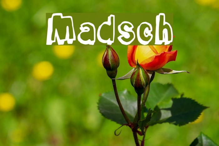 Madsch Font examples