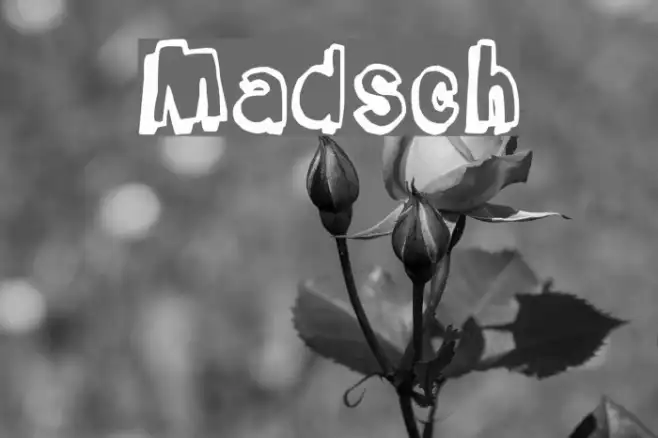 Madsch Example 1