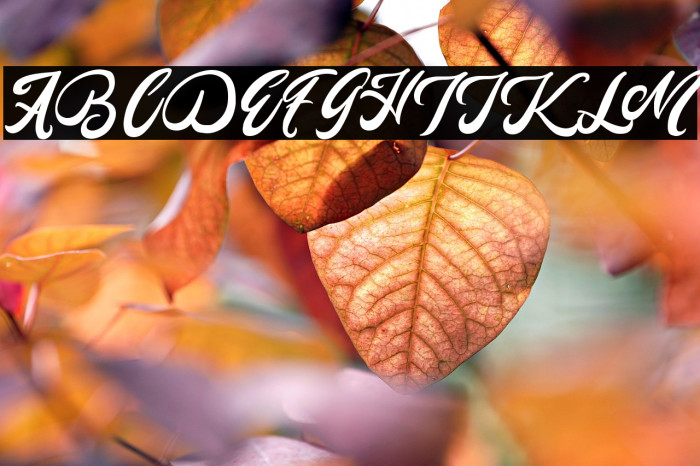 Mady Risaw Example 1