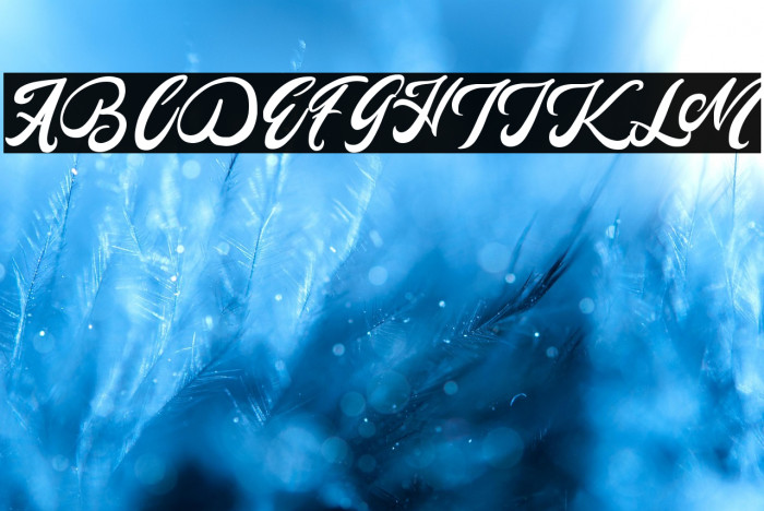 Mady Risaw Example 2