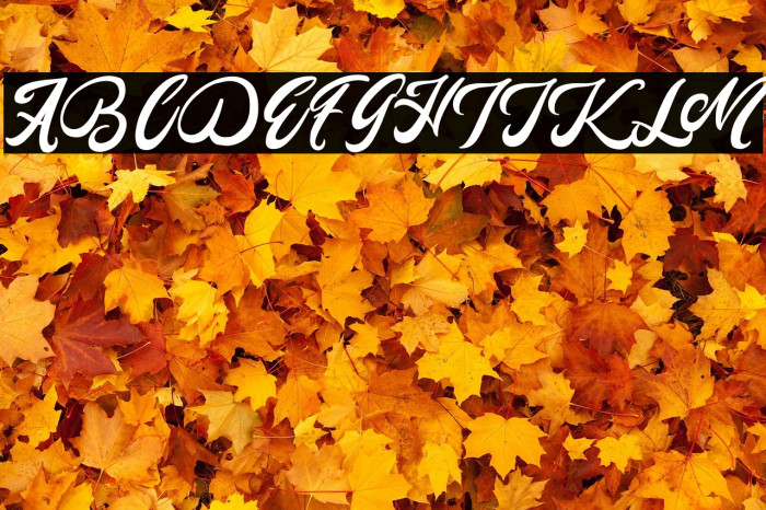 Mady Risaw Example 1