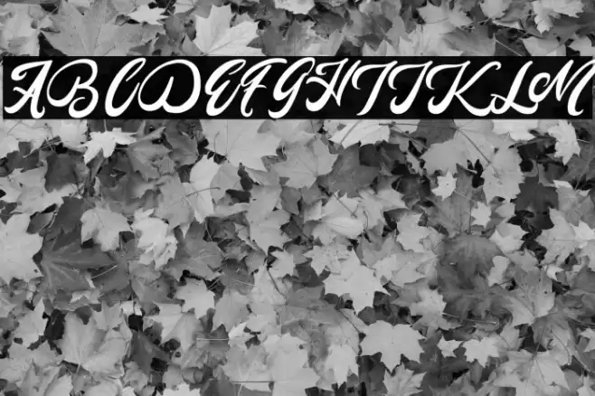 Mady Risaw Font examples