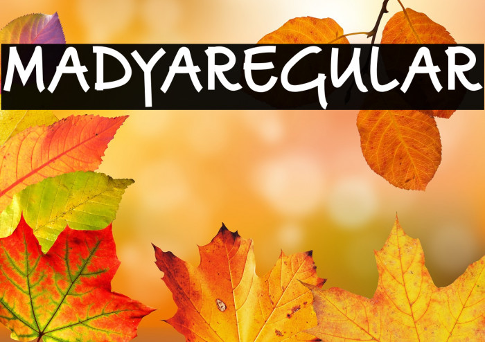 MadyaRegular Example 1