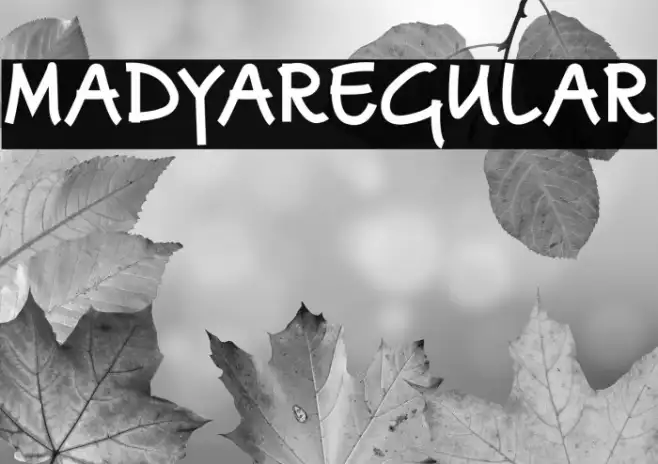 MadyaRegular Example 1