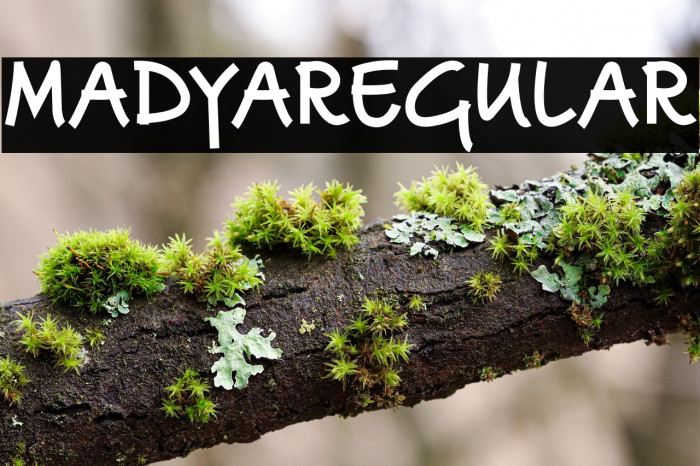 MadyaRegular Example 3