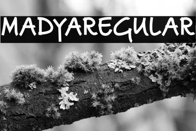 MadyaRegular Example 3
