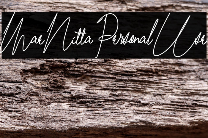 Mae Nitta Personal Use Example 2