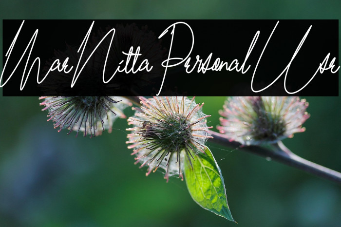 Mae Nitta Personal Use Example 3