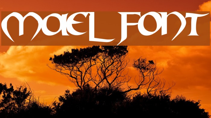 Mael Font examples