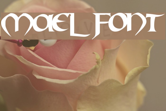 Mael Font examples