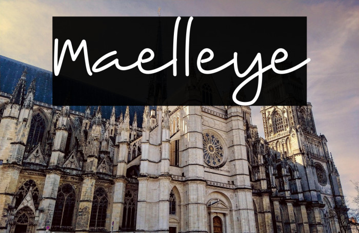 Maelleye Example 3