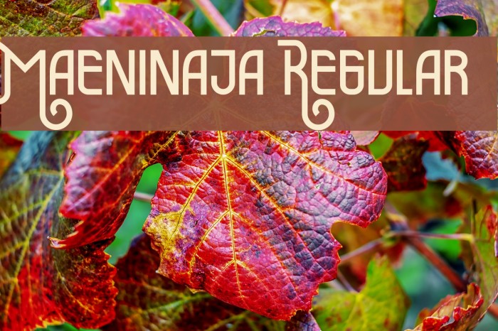 Maeninaja Regular Font examples