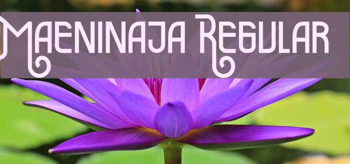 Maeninaja Regular Font examples