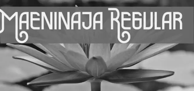 Maeninaja Regular Example 3