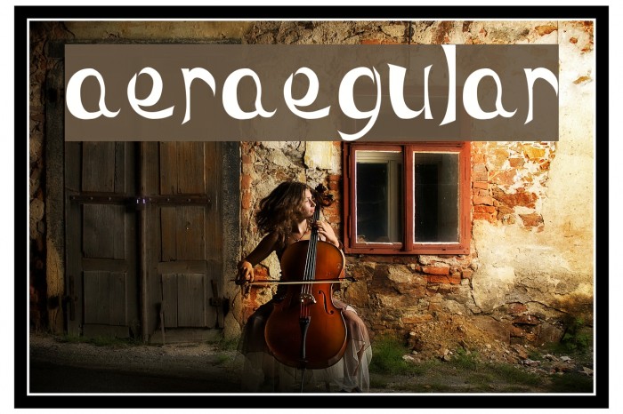 MaeraRegular Font examples