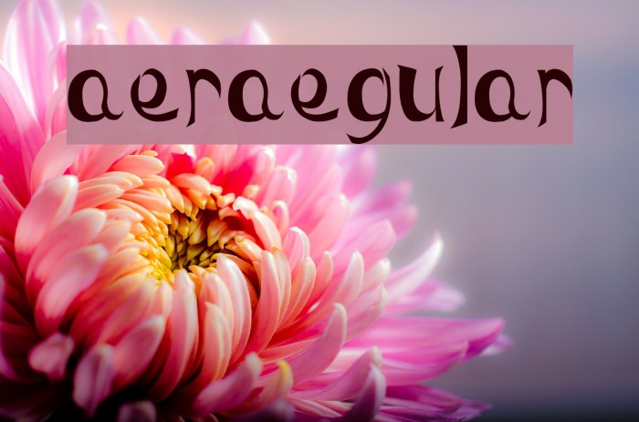 MaeraRegular Font examples