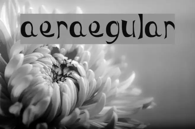 MaeraRegular Example 3