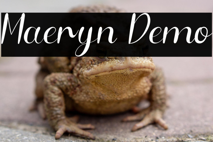 Maeryn Demo Example 1