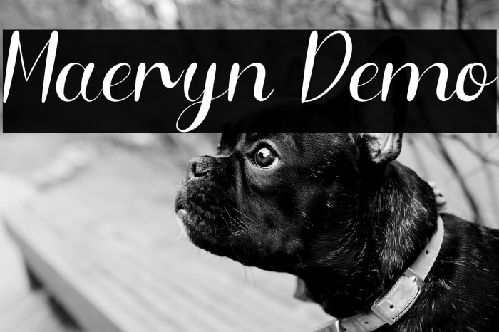 Maeryn Demo Example 3