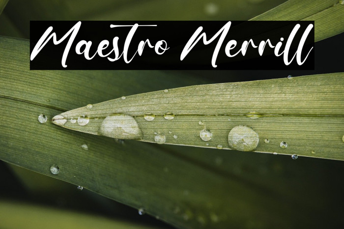 Maestro Merrill Example 2