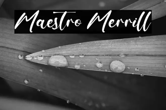 Maestro Merrill Example 2