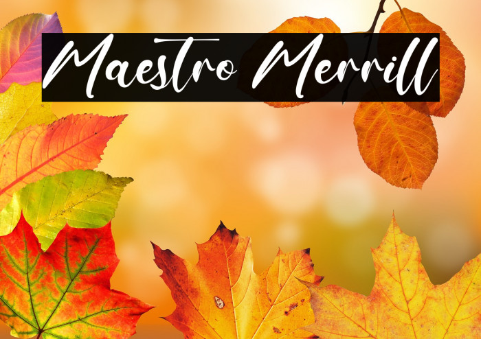 Maestro Merrill Example 3