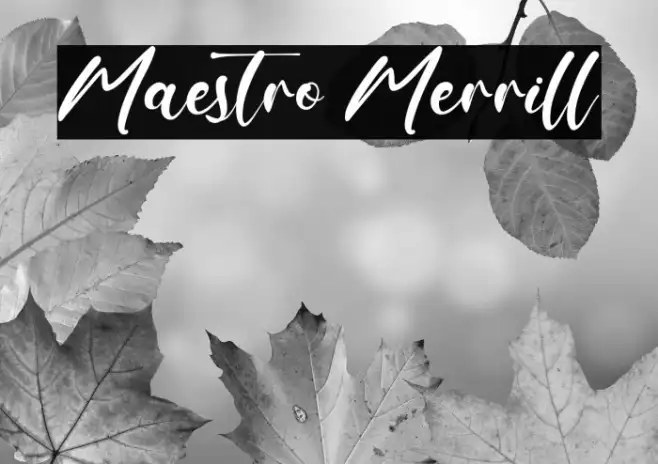 Maestro Merrill Example 3