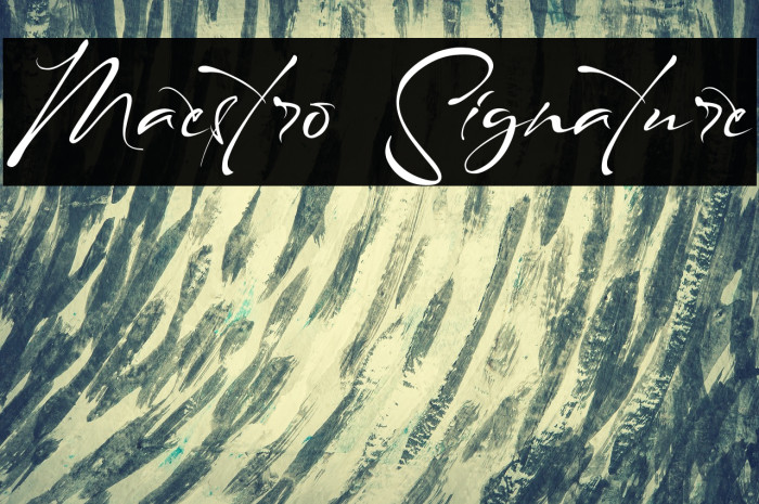Maestro Signature Example 1
