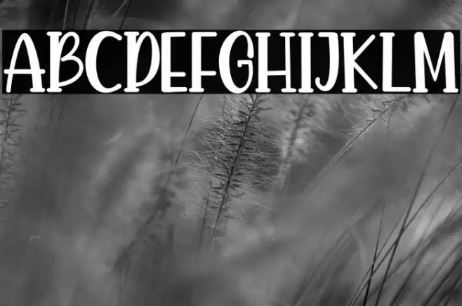 Maestro Font examples