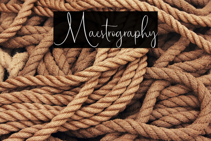 Maestrography Example 1
