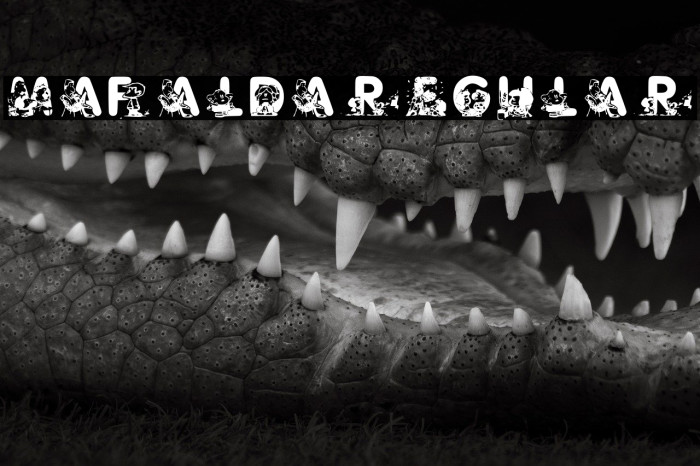 Mafalda Regular Example 3