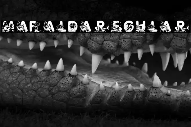 Mafalda Regular Example 3