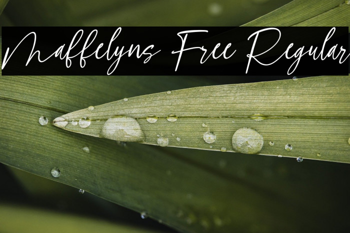 Maffelyns Free Regular Example 1