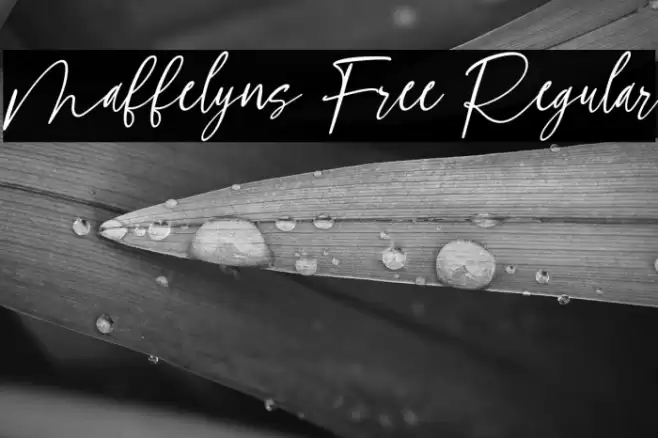 Maffelyns Free Regular Fuentes examples