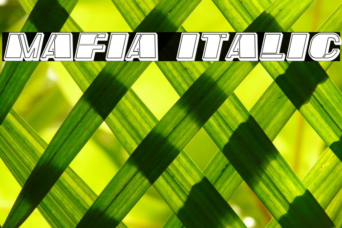 Mafia Italic Font examples