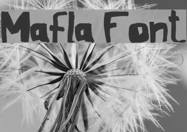 Mafla Example 3