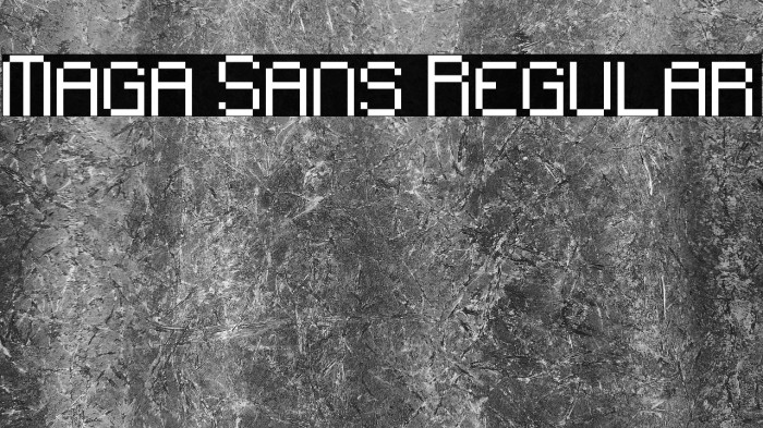 Maga Sans Regular Example 1