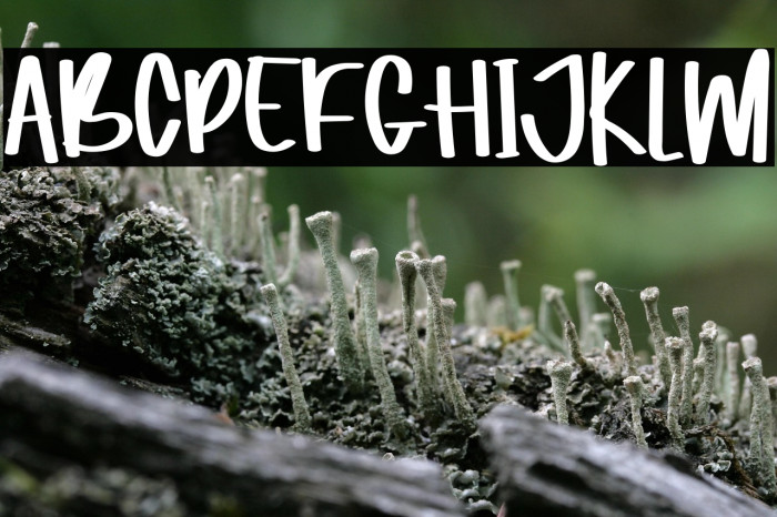 Magaic In Love Example 3