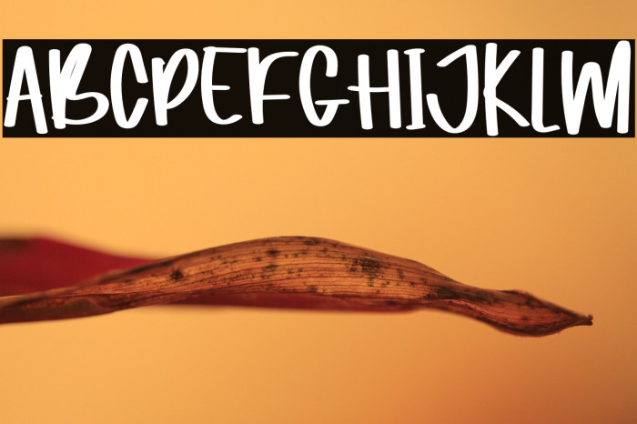 Magaic In Love Example 1