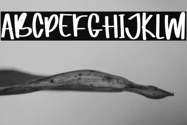 Magaic In Love Font examples