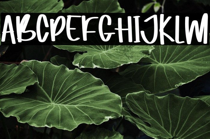 Magaic In Love Example 3