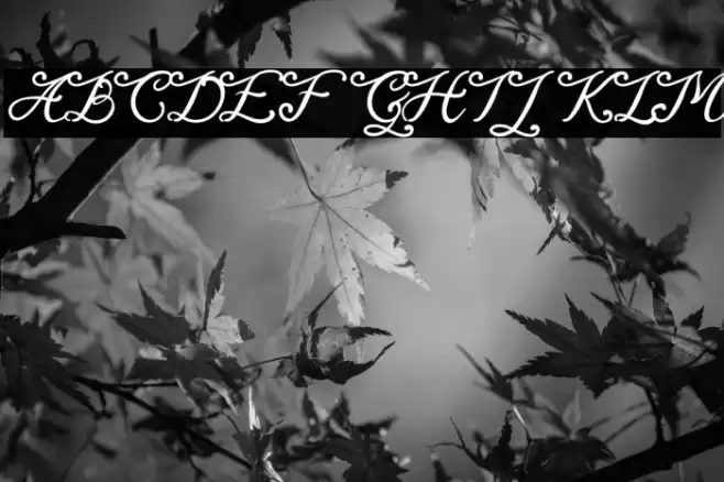 Magaretha Font examples