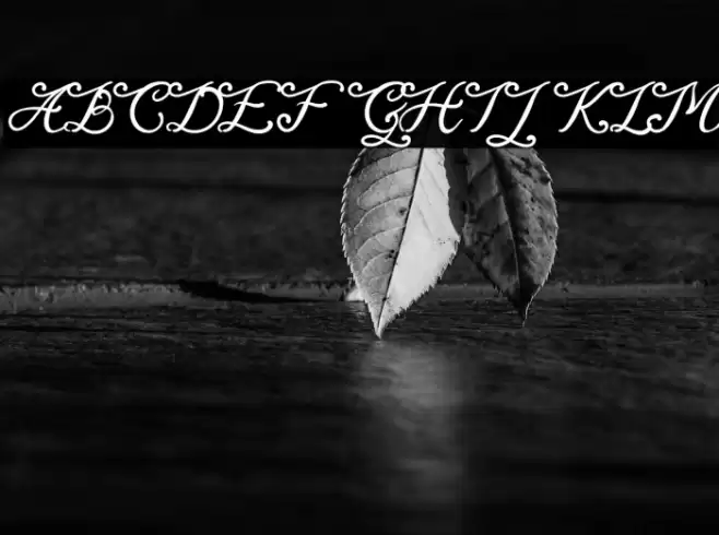 Magaretha Font examples