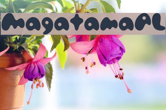 MagatamaAL Example 2