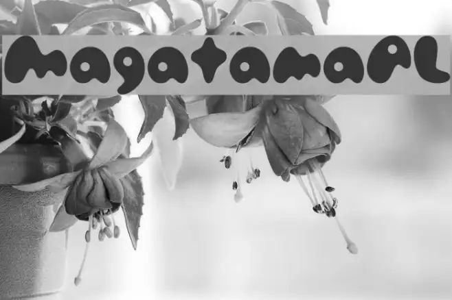 MagatamaAL Example 2