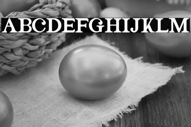 Magazine Bold Font examples